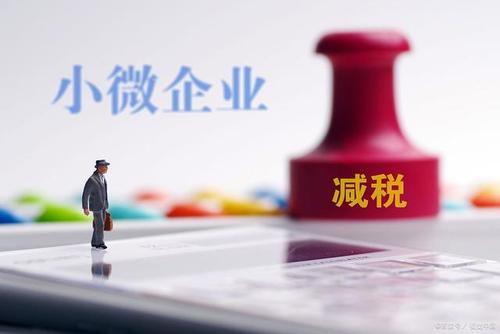 至年底，山東免除個(gè)體工商戶(hù)和小微企業(yè)免一切稅費